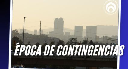 Doble hoy no circula: ¿cuántos días dejarás tu auto en casa este 2025 por contingencias?