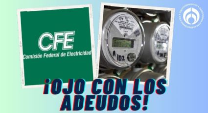 CFE: ¿Cuánto dinero tienes que deber para que te corten la luz?