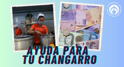 Apoyo para empezar tu changarro: requisitos para obtener hasta 40 mil pesos