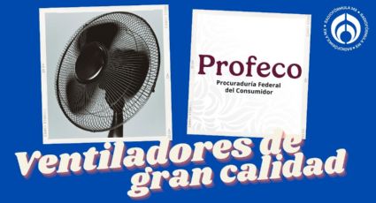 Los ventiladores hechos en México que son Excelentes, según Profeco