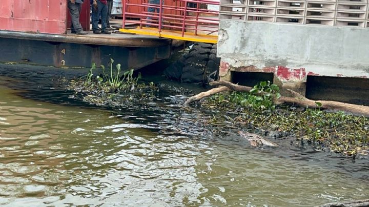 (VIDEO) Pemex vuelve a contaminar el río Coatzacoalcos; 'el olor es insoportable'