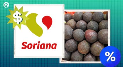 Martes del Campo: Soriana desploma precio del aguacate, un superalimento que ayuda a la salud