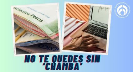 ‘Chamba’ en Naucalpan de 20 mil pesos al mes: requisitos y cómo postular a este puesto