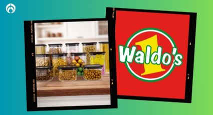 Waldo’s rebaja este mega combo de 24 refractarios de plástico duradero, para que guardes de todo