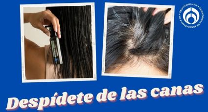 El producto estrella que combate las canas restaurando la pigmentación desde la raíz