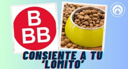 El kilo de croquetas para perro con fibras naturales para huesos fuertes que Tiendas 3B tiene en $35