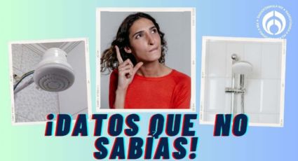 Regadera eléctrica: cómo funciona, cuánta energía usa y por qué debes tener una en casa