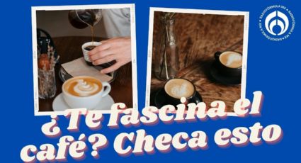 ¿Tomar café reduce el riesgo de padecer diabetes? Esto dice la ciencia